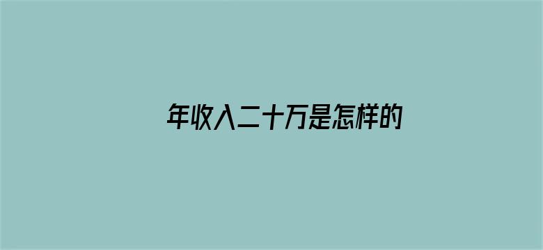 年收入二十万是怎样的水平